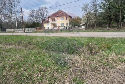 Teren intravilan in  Sebis 5000 mp / Strada Ciutariei - 4