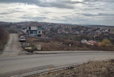 Teren intravilan 479mp in Dezmir - 9