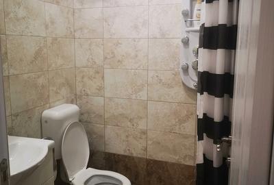 Oportunitate investitie! Apartament, 33mp, zona strazii Bucuresti - 6