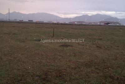 Teren Sanpetru 6300 mp Ocolitoare, posibilitate rate - 1