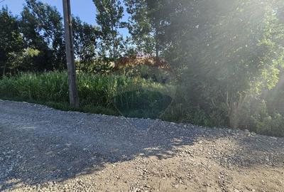 Teren intravilan, 7500 mp in Moara Carp / Strada Eternitatii-Suceava - 11