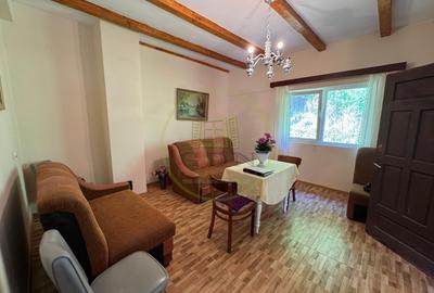 Ofertă de vânzare casă cu 5 camere + teren 4500 mp., Ocoliș - 7