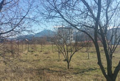 TEREN IN NOUA - INTRAVILAN CONSTRUCTIE- 900 mp  - COMISION 0% pentru cumparator - 7