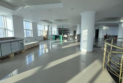 Splaiu Unirii teren 5000 mp Imobil S+P+5 Showroom, Clinica , Birouri , Hotel - 8