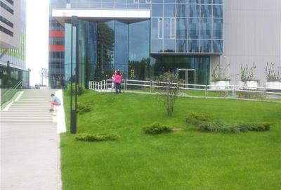 Spatii birouri Green Court de la 144 mp - 19