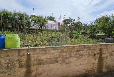 Casă / Vilă cu 12 camere-Sfântu Ilie Vechi, Suceava - 54