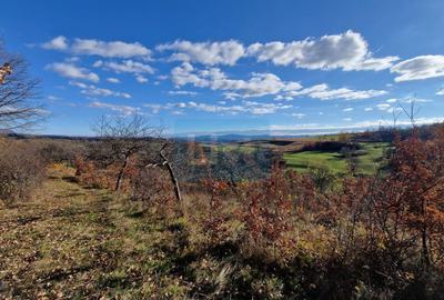 Teren de vânzare in Groși, Maramureș, 55 ari - 5
