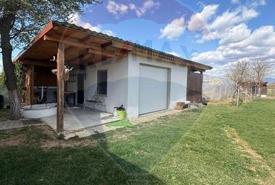 CASA DE VIS DE VANZARE IN COLTIREA cu 2900 mp teren - 26