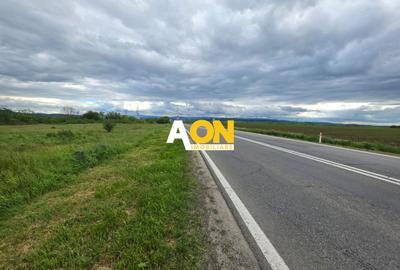 Teren Construcții intravilan de 2900 mp, în Sud