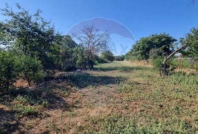 Teren intravilan de inchiriat  - 3.600mp Șoseaua Unirii – Balotești - 12