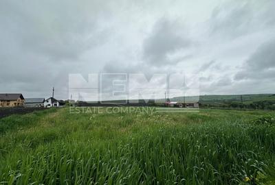Teren Intravilan de Vanzare | Moara Carp, Suceava | Pret: 95.000€ - 5