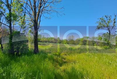CASA TARANEASCA | TEREN 3000 MP | DESCHIDERE 52 M | COMUNA CIOLANESTI - 2
