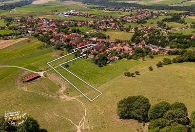 FILM!Doua case traditionale,pe domeniu cu peste 5.000mp teren,Bixad,Covasna - 14