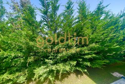SUPERB/MODIFICATA/ PRETABIL CUPLU/ GRADINA MATURA/  MOBILATA SI UTILATA - 23