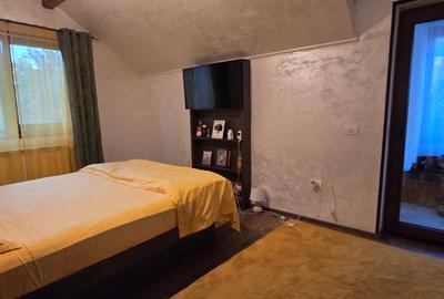 Moreni , Dambovita , vanzare proprietate -casa si teren - 6