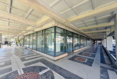 Anastasie Panu, spatiu comercial 168mp, inchiriere expres - 2