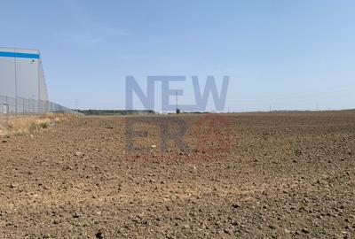 Teren industrial de vanzare 13.999 mp zona Eli Park Buftea - 3