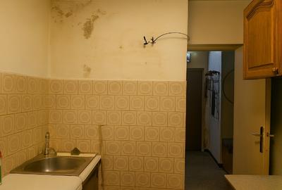 Apartament doua camere, decomandat, Sala Palatului, Cismigiu - 13