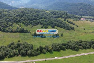 Vindem teren 20000 mp Cheile Rasnoavei - Brasov , pentru case vacanta - 7