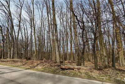 Teren / Padure in Corbeanca - Radarului - 3