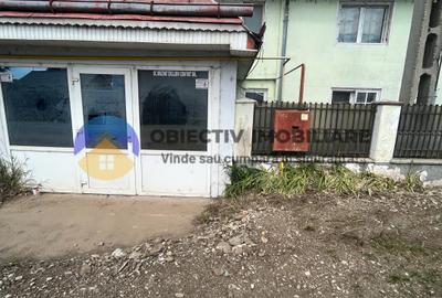 Casa Savinesti la DN , ideal activitate comerciala sau locuit - 9