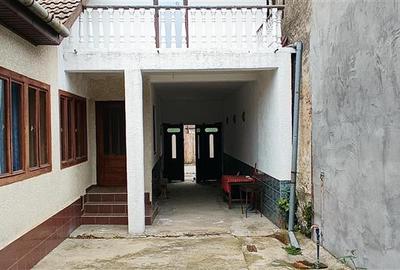 Casa individuala de vanzare in Berzasca, jud. Caras-Severin - 30