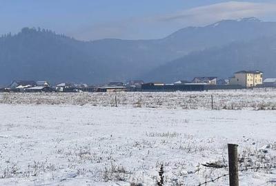 TEREN 1049 mp - INTRAVILAN DE CONSTRUCTII - 15