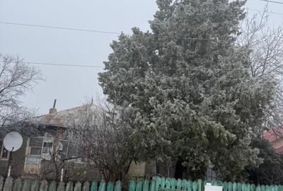 Vând  casă bătrâneasca - 3