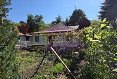 Casa de vanzare cu 5 camere în Mislea - 24