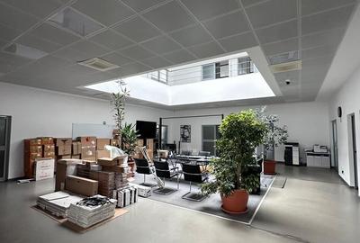 SPATIU COMERCIAL-INDUSTRIAL - ANADALCHIOI - 5