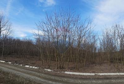 Teren 2,714mp de vanzare -  Strada Gura Vaii / Bujoreni - 1