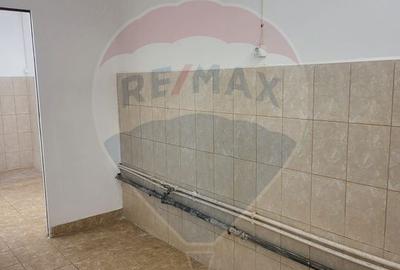 Spațiu industrial de 70mp de închiriat în zona Astra - 9