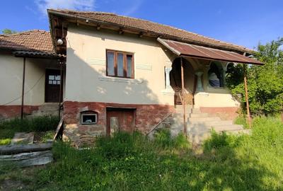 Casa+ casa batraneasca Surupate(Comuna Francesti, Valcea) - 4