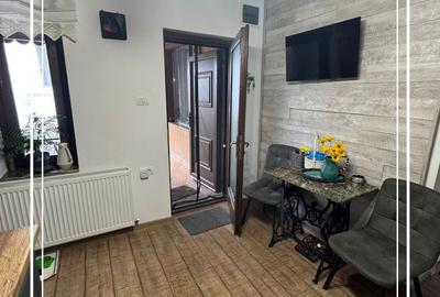 Vila renovat de vanzare D+P curte proprie 774 mp, semicentral Arad - 22