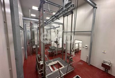 Black Angus Farm with authorized Slaughterhouse - 14