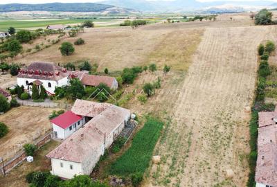 Istorie și potențial – Proprietate unică în Cricau, județul Alba - 13