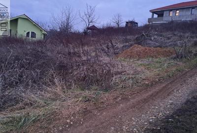 Teren intravilan Oradea - 5