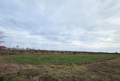 Teren agricol extravilan de 5900 mp, în Cloșca
