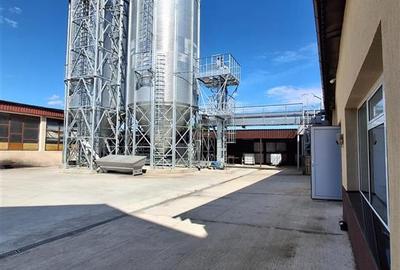 FABRICA DE ULEI AFACERE LA CHEIE DE VANZARE - 4