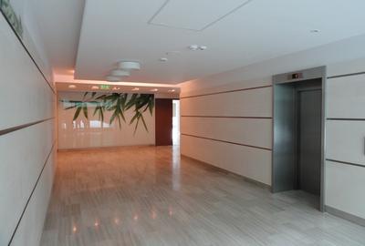 Platinum Business & Convention Center, Baneasa, 493 - 5272 mp  0% comision! - 14