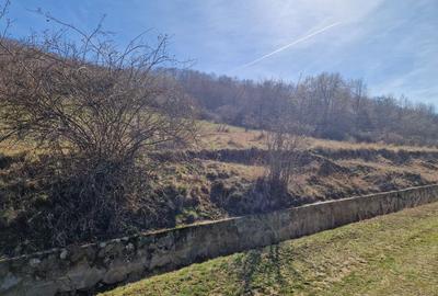 Teren extravilan,  zona si priveliste superba, Cuvin - 3