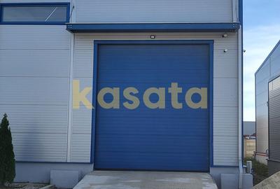 Spatiu de depozitare/productie de inchiriat - Zona de Vest - 7