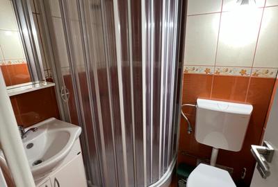 Apartament 3 camere decomandat de închiriat – Zona Terezian - 12