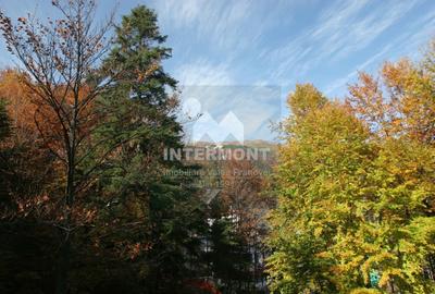 Teren Sinaia- Furnica - 2
