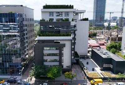 Birou, 1485 mp în Barbu Văcărescu