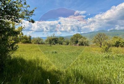 Teren 5,565mp Giulesti / Strada PRINCIPALA - 1