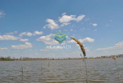 Oportunitate investitionala | Ferma piscicola 233 ha | Calarasi - 8