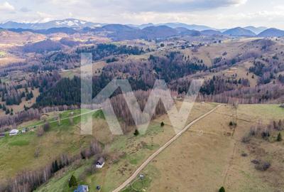 Teren de vanzare Sirnea- Comision 0% - 14