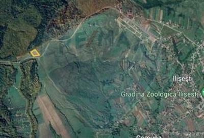 Teren Ilisesti  7000mp extravilan/ DN 17, Suceava - 6