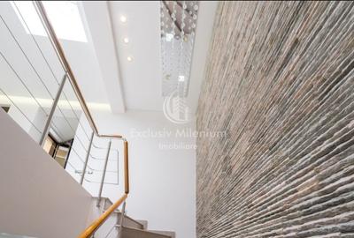 Vila Clinica /Salon de infrumusetare Lacul Tei  /Parcul Circului birouri - 9